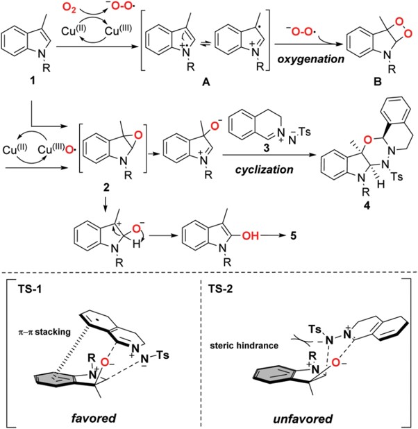 铜催化氧插入反应机理